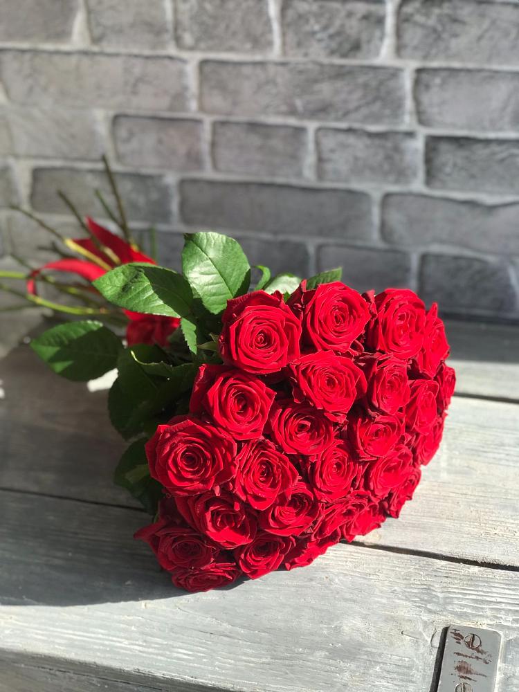 Букет Красные розы Фридом в Льве Толстом