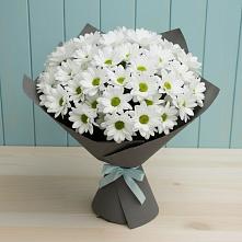 Букет цветов из:  Хризантемы в Льве Толстом