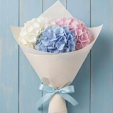 Букет цветов из:  Гортензия в Льве Толстом