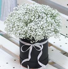 Цветочная композиция из Гипсофила в шляпной коробке #REPLACE_PRED# Льве Толстом