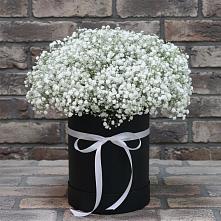 Цветочная композиция из Гипсофила в шляпной коробке #REPLACE_PRED# Льве Толстом