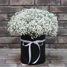 Цветочная композиция из Гипсофила в шляпной коробке в Льве Толстом