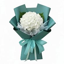 Букет цветов из:  Гортензия #REPLACE_PRED# Льве Толстом